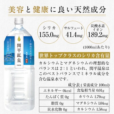 関平鉱泉水(ペットボトル)2L×10本!【関平鉱泉所】　A0-360