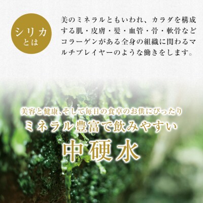関平鉱泉水(ペットボトル)2L×10本!【関平鉱泉所】　A0-360