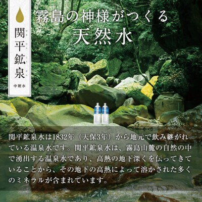 関平鉱泉水(ペットボトル)2L×10本!【関平鉱泉所】　A0-360