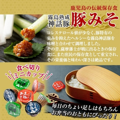 霧島神話豚の豚みそ!(ゴーヤ味30個)【富士食品】　Z6-012-G