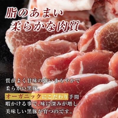 サムギョプサル用鹿児島黒豚バラ肉(合計1kg)【米平バークシャ】　A0-357