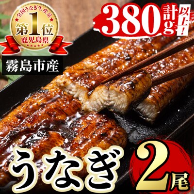 特別サイズ!霧島産うなぎ蒲焼き計380g以上(190g超×2尾)【田代水産】A5-034-RT