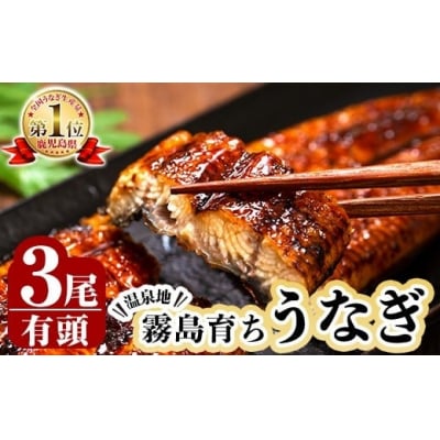霧島市育ちのあの「うなぎ」120～130g×3尾【田代水産】　B-128-RT