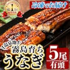 <冷凍でお届け>霧島市育ちのあの「うなぎ」120～130g×5尾【田代水産】　C-077-RT
