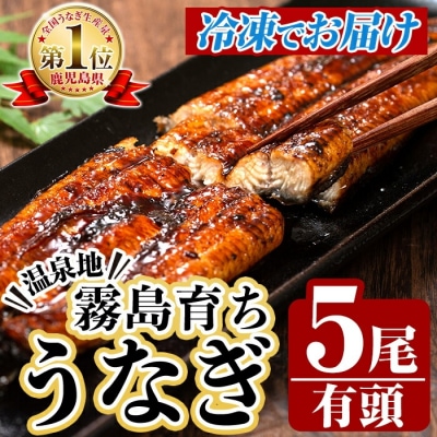 <冷凍でお届け>霧島市育ちのあの「うなぎ」120～130g×5尾【田代水産】　C-077-RT