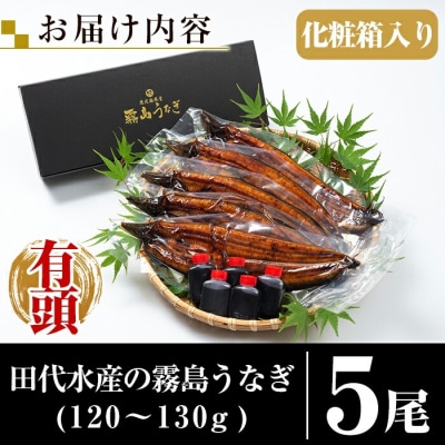 <冷凍でお届け>霧島市育ちのあの「うなぎ」120～130g×5尾【田代水産】　C-077-RT