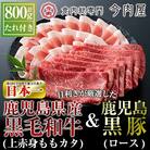 鹿児島県産黒毛和牛【A-5ランク】&黒豚しゃぶしゃぶセット【今肉屋】B-011 