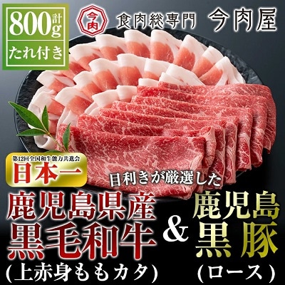 鹿児島県産黒毛和牛【A-5ランク】&黒豚しゃぶしゃぶセット【今肉屋】B-011 