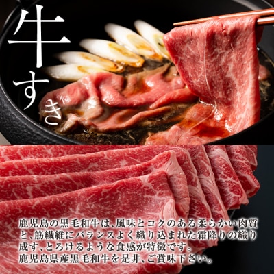 鹿児島県産黒毛和牛【A-5ランク】&黒豚しゃぶしゃぶセット【今肉屋】B-011 