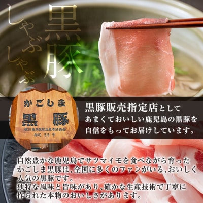 鹿児島県産黒毛和牛【A-5ランク】&黒豚しゃぶしゃぶセット【今肉屋】B-011 