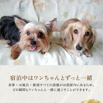 《日～木曜日限定》ペット同伴グランピング4名1棟宿泊券 (1泊2食付)【こしかの温泉】P2-016