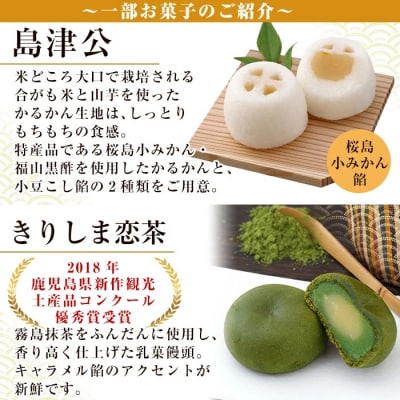 薩摩維新伝(小)かるかん・饅頭などスイーツ詰め合わせ(計23個)【森三】　A5-017 