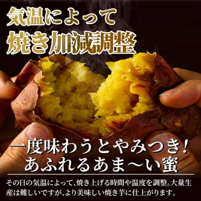 2026年11月以降順次発送　完熟焼き芋<安納芋>2kg【フレッシュジャパン鹿児島】K-101 