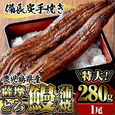 薩摩とろ鰻蒲焼特大サイズ(1尾:280g)【株式会社志】　K-039 
