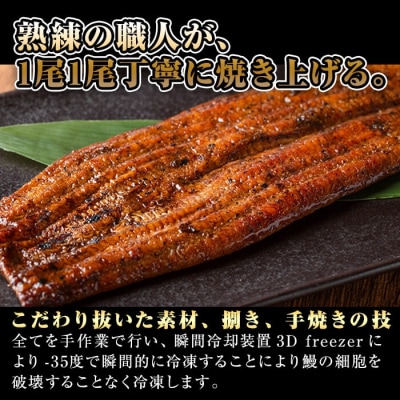 薩摩とろ鰻蒲焼特大サイズ(1尾:280g)【株式会社志】　K-039 