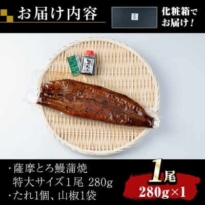 薩摩とろ鰻蒲焼特大サイズ(1尾:280g)【株式会社志】　K-039 