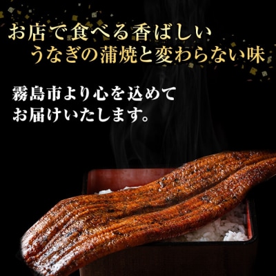 薩摩とろ鰻蒲焼特大サイズ(1尾:280g)【株式会社志】　K-039 