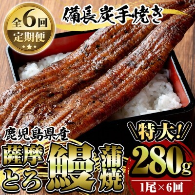 【定期便6回】薩摩とろ鰻蒲焼特大サイズ1尾(280g)×6回 【株式会社志】　K-041 