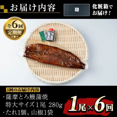 【定期便6回】薩摩とろ鰻蒲焼特大サイズ1尾(280g)×6回 【株式会社志】　K-041 