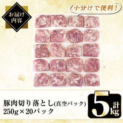 鹿児島県産豚肉切り落とし真空小分け計5kg(250g×20P)【肉の豊楽】A5-033-D