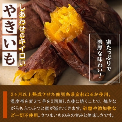 しあわせのキイロいやきいも(紅はるか・2kg)【鹿児島ラーメン】　K-104 