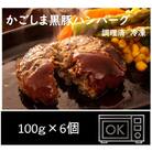 鹿児島黒豚ハンバーグ(100g×6個)【九面屋】　K-117 