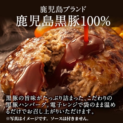 鹿児島黒豚ハンバーグ(100g×6個)【九面屋】　K-117 