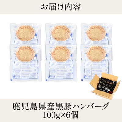 鹿児島黒豚ハンバーグ(100g×6個)【九面屋】　K-117 