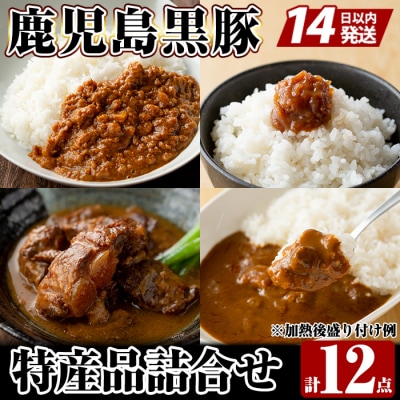 鹿児島県産黒豚特産品の詰合せ(4種計12個)【富士食品】C0-090 