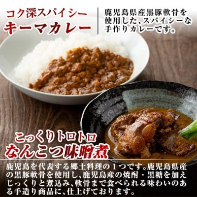 鹿児島県産黒豚特産品の詰合せ(4種計12個)【富士食品】C0-090 