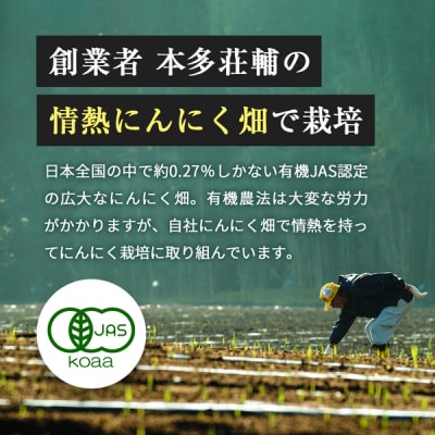 伝統にんにく卵黄・極(1袋31粒入)【健康家族】　K-123 