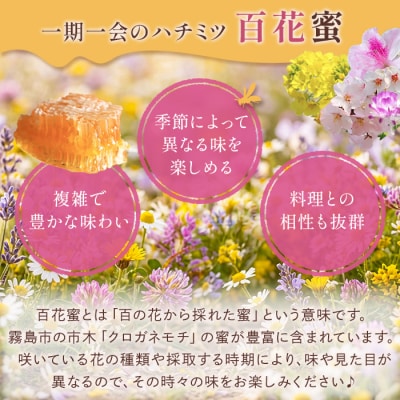 霧島産百花蜜(300g)  純粋ハチミツ 100%天然【冨吉養蜂】　K-126-A