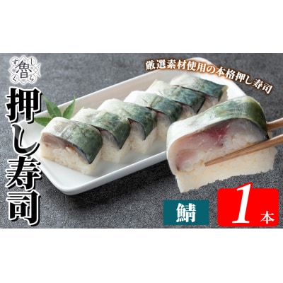 鯖押し寿司(計1本)【すし魯くら】　K-167-C 