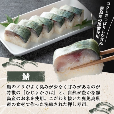 鯖押し寿司(計1本)【すし魯くら】　K-167-C 