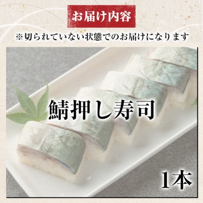 鯖押し寿司(計1本)【すし魯くら】　K-167-C 