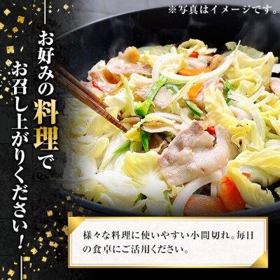 かごしま黒豚こま切れ(計1.2kg・600g×2P)【肉の名門　一真】A0-307