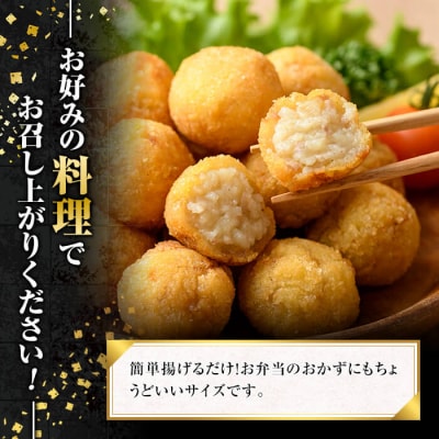 かごしま黒豚ひとくちコロッケ(55個)【肉の名門　一真】A0-309 