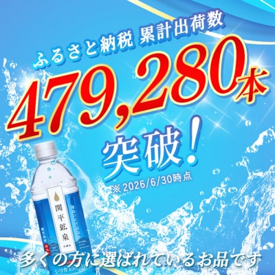  <定期便・全6回>関平鉱泉水500mlペットボトル×24本ずつ【関平鉱泉所】K-186　