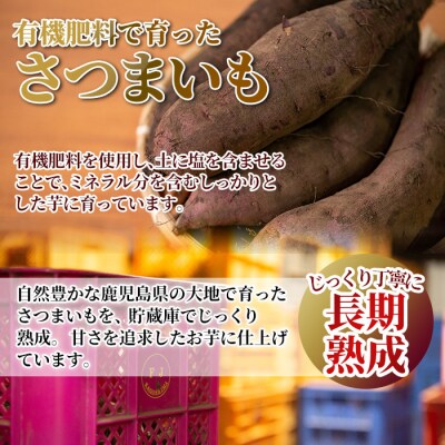 完熟干し芋 <3種食べ比べセット>合計900g【フレッシュジャパン鹿児島】K-193-D