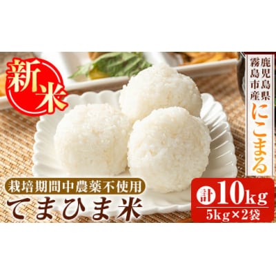 先行約受付《令和7年産新米》てまひま米(品種:にこまる) (計10kg)【末蜜農園】K-198-C
