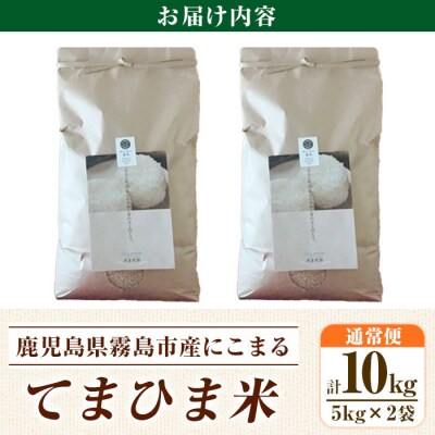  《令和6年産》てまひま米(品種:にこまる)(計10kg)【末蜜農園】K-198-C