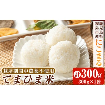 《令和6年産》てまひま米(品種:にこまる)　300g【末蜜農園】K-198-A
