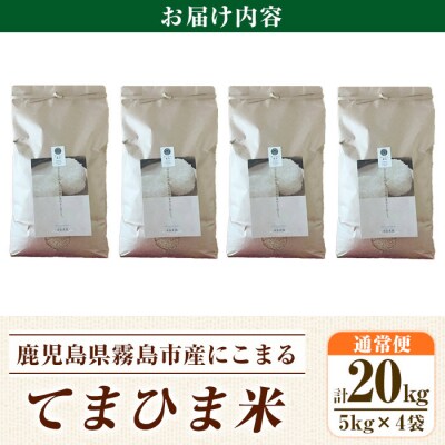 先行受付《令和7年産新米》てまひま米(品種:にこまる) (計20kg)【末蜜農園】K-198-D