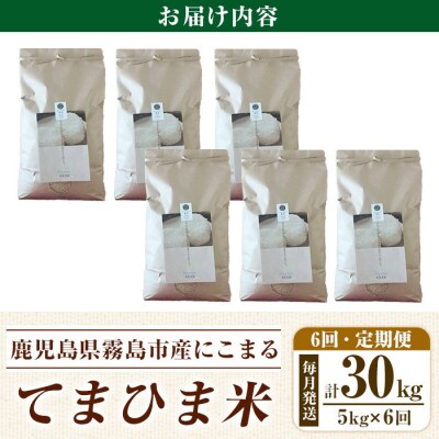 6回定期便《令和7年産新米》てまひま米(品種:にこまる) (計30㎏)【末蜜農園】K-198-F