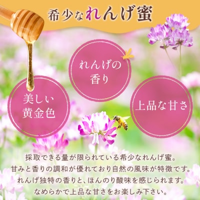 <数量限定>霧島産れんげ蜜(300g) 純粋ハチミツ 100%天然【冨吉養蜂】K-203-A