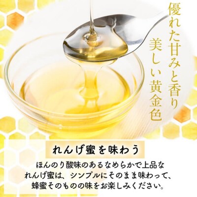 霧島産れんげ蜜(500g)純粋ハチミツ100%天然【冨吉養蜂】K-203-B
