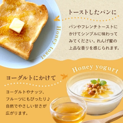 <数量限定>霧島産れんげ蜜(500g)純粋ハチミツ100%天然【冨吉養蜂】K-203-B