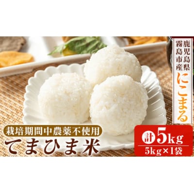 《令和6年産》てまひま米(品種:にこまる)　5kg【末蜜農園】K-198-B