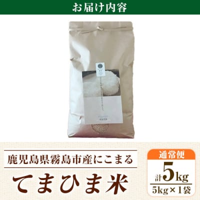 《令和7年産》てまひま米(品種:にこまる)(計5kg)【末蜜農園】K-198-B