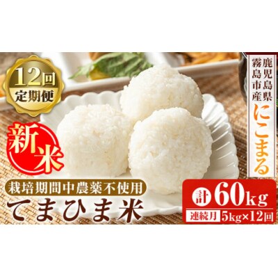  12回定期《令和7年産新米》てまひま米(品種:にこまる) (計60kg)【末蜜農園】K-198-G